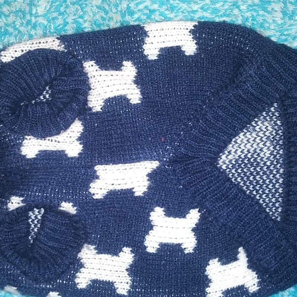 Pooch Apparel